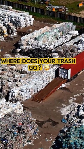 How Recycling Actually Works ♻️😳