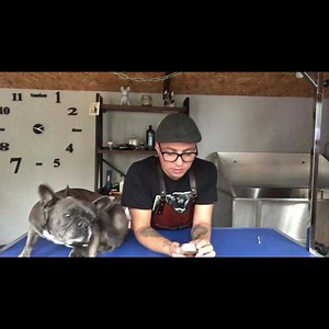 #SnoutSoother instructional video thanks to @albertsdoggroomers! ❤️ . APPLICATION | Use finger(s) to scoop a small amount and gently rub into nose. Or, for no mess application, use a small beauty pad, cotton swab or low-absorbent cloth. . RECOMMENDATION | The more often you are able to apply Snout Soother to your dog’s nose, the better. To start out, we recommend applying at least 2-3 times per day, and especially before bedtime when bodies are at the peak of healing and regeneration. Once your 