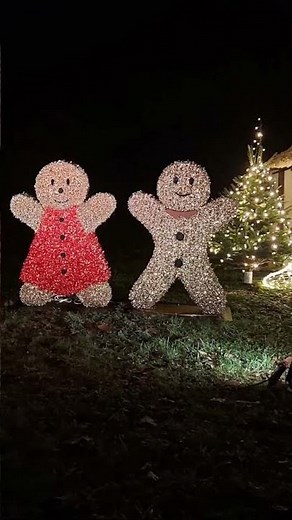 ✨ Insel Mainau Christmas Garden 2025 / 2026 ✨