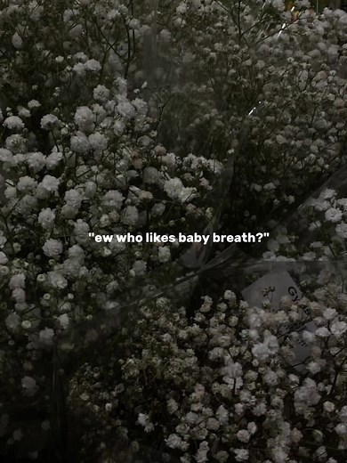 Meaning of Baby's Breath Flower | Quotes and Symbolism