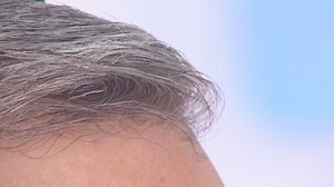 Does plucking gray hair cause more to grow back? The science behind the silver strands