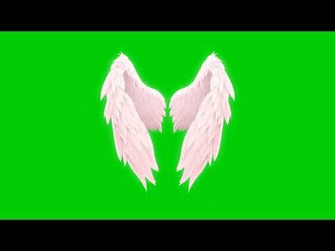 Flying Wings Green Screen Video Free