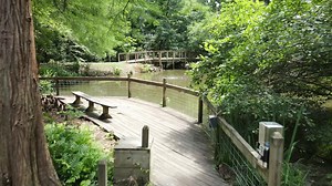 The Donald E. Davis Arboretum is a botanic garden facility located in the heart of #Auburn. It functions as an outdoor classroom for university classes, local schools, and community groups, and provides visitors with a space to enjoy the natural setting. What is your favorite way to enjoy the outdoors? | Auburn University