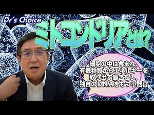 What are mitochondria?