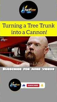 “They Turned a Tree Trunk into a Cannon… The Result Was Explosive!”|| FactFuseLAB