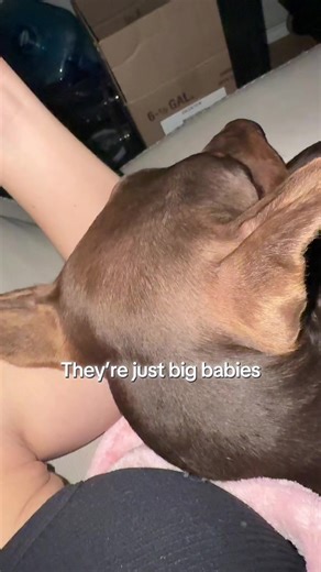 The biggest baby we have