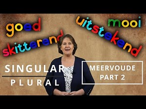 How to CHANGE WORDS in AFRIKAANS from the SINGULAR to PLURAL - Meervoude - Part 2