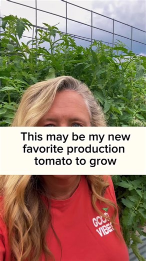 Zone 7a/8b We try new varieties of seeds every year. The “Hossinator” is new for us and is quickly becoming a favorite! #parkerpastures #growyourownfood #gardening101 #backyardgarden #tomatoes #tomatoesoftiktok
