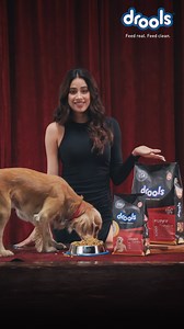 283K views · 44 reactions | Drools Daily Nutrition is crafted with wholesome ingredients, free from all by-products. This formula supports optimal digestion, bone strength, and a lustrous coat for your furry friend  Watch your pet flourish with every scoop of our tail-wagging goodness ❤️ #droolsindia #pets #petfood #dogs | Drools | Facebook