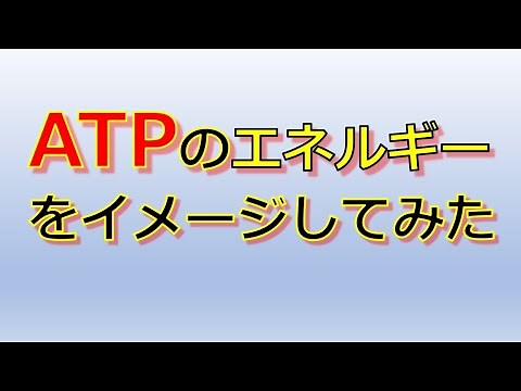 【生物】ATPのイメージ