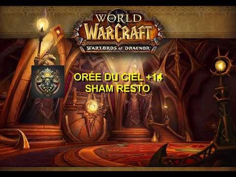 ORÉE DU CIEL +14 CHAMAN RESTAURATION