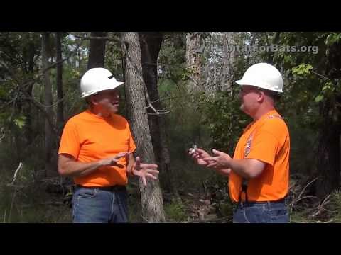 How Do I Attract Bats with Jim Kennedy