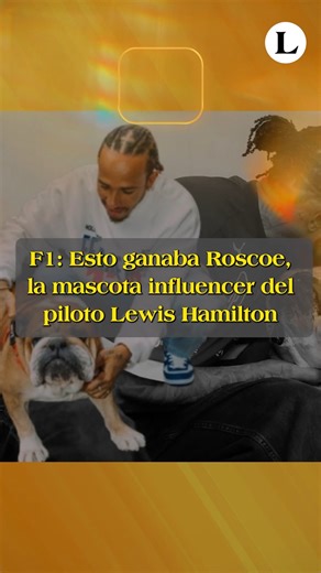 4K views · 261 reactions | El bulldog de Lewis Hamilton, Roscoe, era mucho más que una mascota. Se convirtió en una auténtica celebridad de la Fórmula 1 y un "perro influencer", llegando a ganar una cantidad de dinero impresionante. ¿Sabes cuánto ganaba por día de trabajo? Te lo contamos en nuestro link en bio. #LewisHamilton #Roscoe #Fórmula1 | La-Lista | Facebook