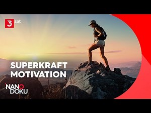 So erreicht unser Gehirn seine Ziele | NANO Doku