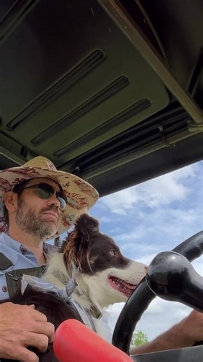 This is how we roll #farmdog #farm #farmdoglife #doglover | Cog Hill Farm