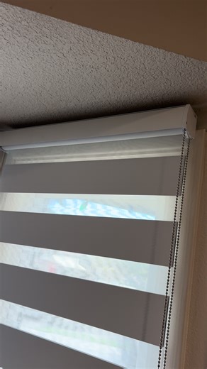 Zebra Shades for Trendy Home Interiors