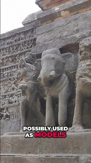 Chow Chow: The Fluffy, Blue-Tongued Mystery You Need to Know! #shorts