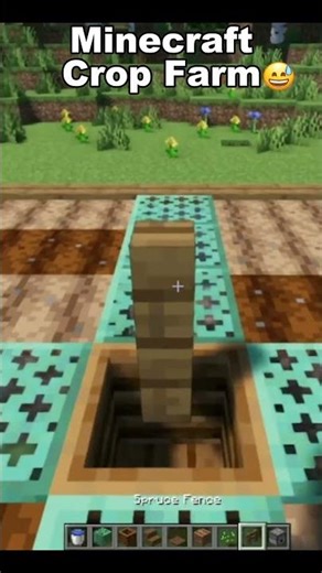 Minecraft Easy Crop Farm🧑‍🌾 #shorts