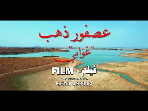 عصفور ذهب" فيلم تونسي" | Film tunisien "Oiseau d'or" (2022-2023) | extrait / Bande-annonce