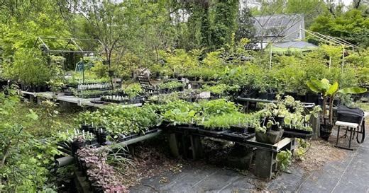 Making It Grow:Sassafras Nursery & Herbs Season 2025 Episode 23