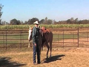 Mounting a Horse without stirrups