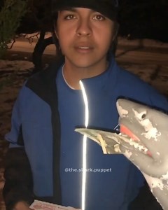 1.9K views · 30 reactions | Pizza man is @_nusuga_ - - - Backup @thesharkpuppet - - - - - - - #meme #memes #dankmeme #dankmemes #edgy #edgymemes #doggo #offensivememes #communism #marvel #lilpump #despacito #roblox #minecraft #earrape #hood #hoodclips #cringe #fortnite #shark #sharkpuppet #comedy #xbox #epic #victoryroyale #puppet #juicewrld #6ix9ine #rap | The Shark Puppet | Facebook