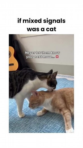 Why is she a spring loaded trap