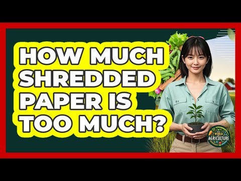 How Much Shredded Paper Is Too Much?