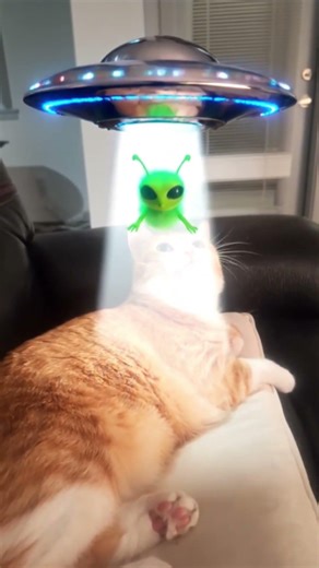 Happy International Alien Abduction Day