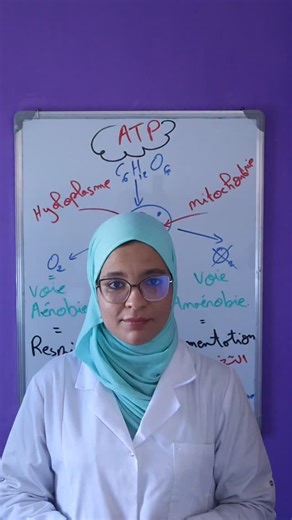 Prof_halima_svt on Instagram: "La dégradation d’ATP"