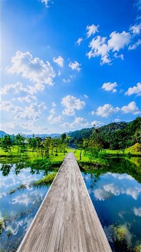 Relaxing Sleep Music | Yilan Nature Scenery 宜蘭風景木棧道 Shorts