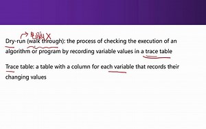 Alevel CS计算机P2之软件开发与测试【专题】
