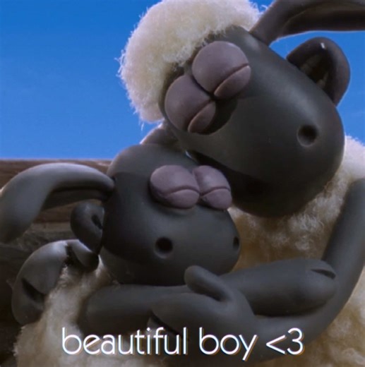 My sweethearts 🥹❤️‍🩹 #shaunthesheep #fyp #timmysts #timmytime #fyppppppppppppppppppppppp #timmyshaunthesheep #aardmananimations #sts #shaunthesheepedit #fypシ゚ #beautifulboy