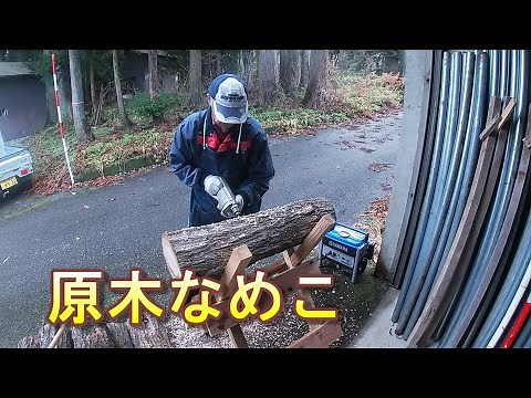 [原木なめこ栽培] 穴あけ～植菌～仮伏せ(菌の繁殖)～本伏せ～収穫