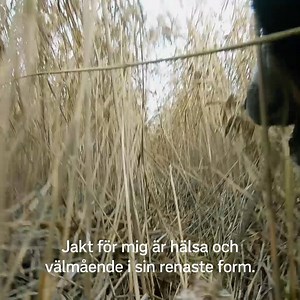 1.9K reactions · 93 shares | Spänning, adrenalin och vittring – Jaktliv från norr till söder i SVT. | SVT | Facebook