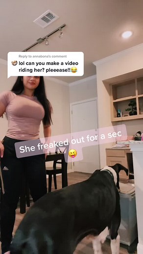 Reply to @annabona my own personal horsie 😝💕🐎 #greatdane #riding #fy #fyp #foryou #clingypet #furbaby #petsoftiktok