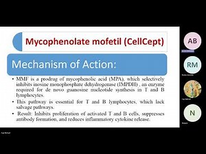 Tips and tricks for mycophenolate "Cellcept" safe use