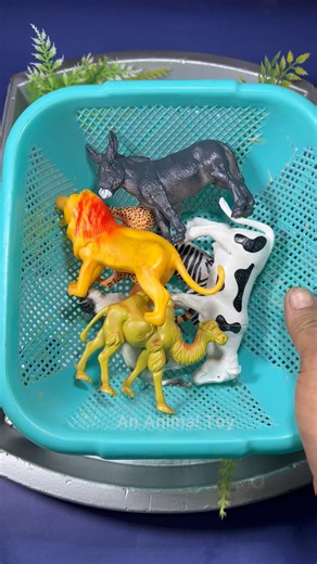 Realistic Jungle Animals Toy Unboxing! #shorts | Satisfying ASMR Animal Toys