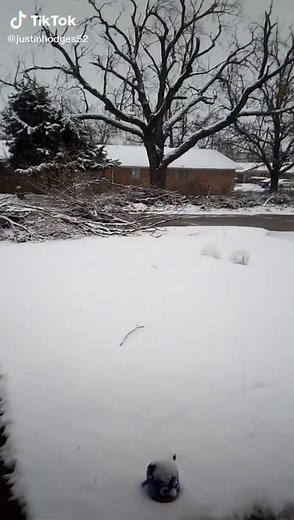 Justin Hodges (@justinhodges52)’s videos with original sound - Justin Hodges