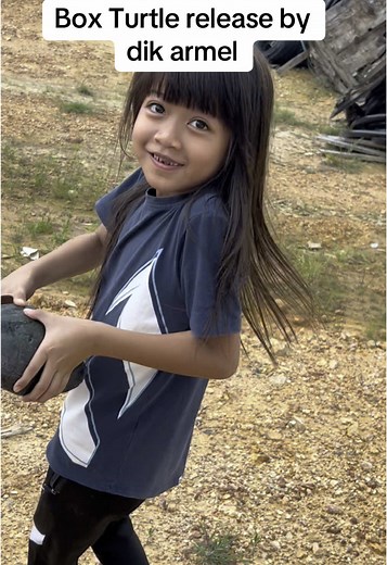 Box Turtle Release and Conservation Efforts