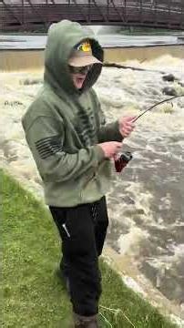Giant fish on little rod #fishing