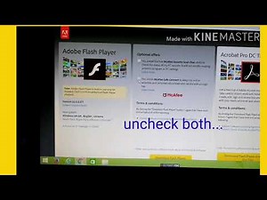 How to download and install Adobe Flash Player