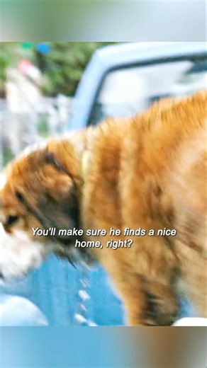 Around 40 people are reported to have died after an explosion and fire #WorldNews #UKNews #GBNews