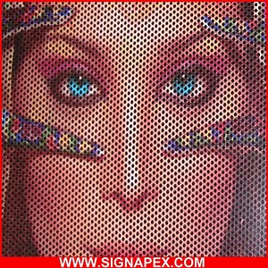 [Hot Item] Self Adhesive One Way Vision Vinyl for Window/Car Advertising