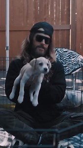 30 seconds to puppies at all times🤝 | THIRTY SECONDS TO MARS