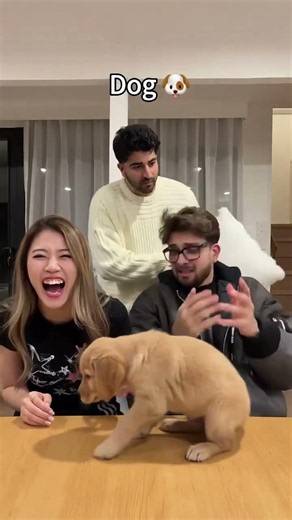I'm fan Nick Carrie Carrie is so funny and cute and Nick same too!