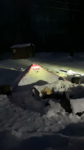 Aliens in my backyard