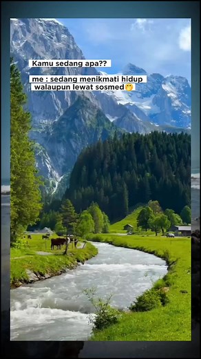 Tenang bgt liatnya😍💙💚 . . #KMD #50 #sesi2 #photographycommunity #community #photographyday #photography #communityevent #bollywood #switzerland #reels #fyp | Solly Shyla