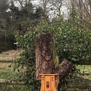 One minute of something other than #corona virus. I carved this little tawny owl in 30mins using only @makitauk cordless tools. I’ve been so so impressed by them in the first few weeks that I’ve had them. I’m not standing in a cloud of petrol fumes all day. The cost to recharge a battery is far lower than petrol. I don’t have any wires annoying me. The run time is excellent. Every tool takes the same battery. For me, this is the way forward. #makita #makitatools #cordless #cordlesstools #arborte