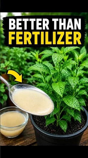 This 1 Ingredient Turns Dying Plants Into a Jungle